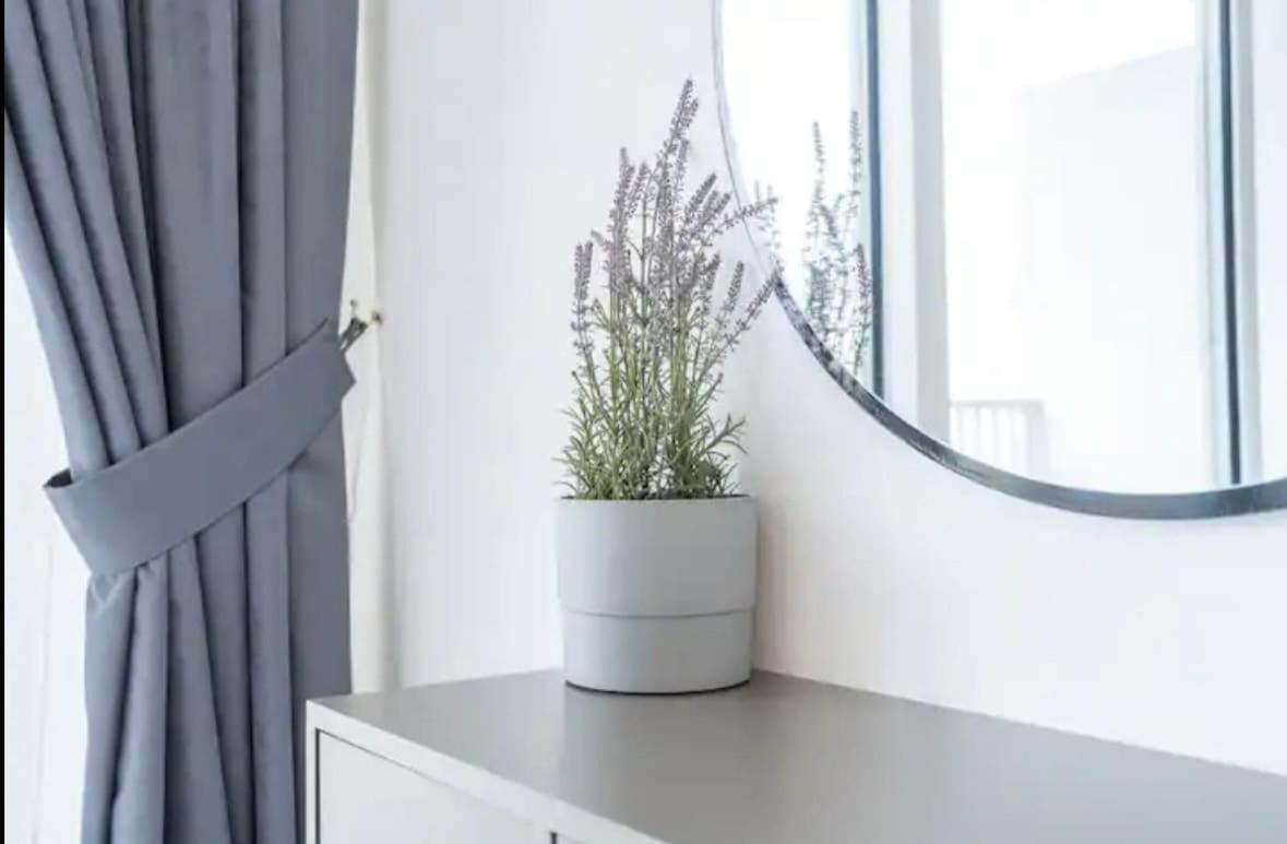 Apartment Jaw Dropping In Luma21 *